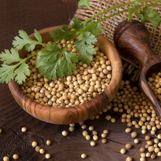 9 health benefits of coriander seeds.