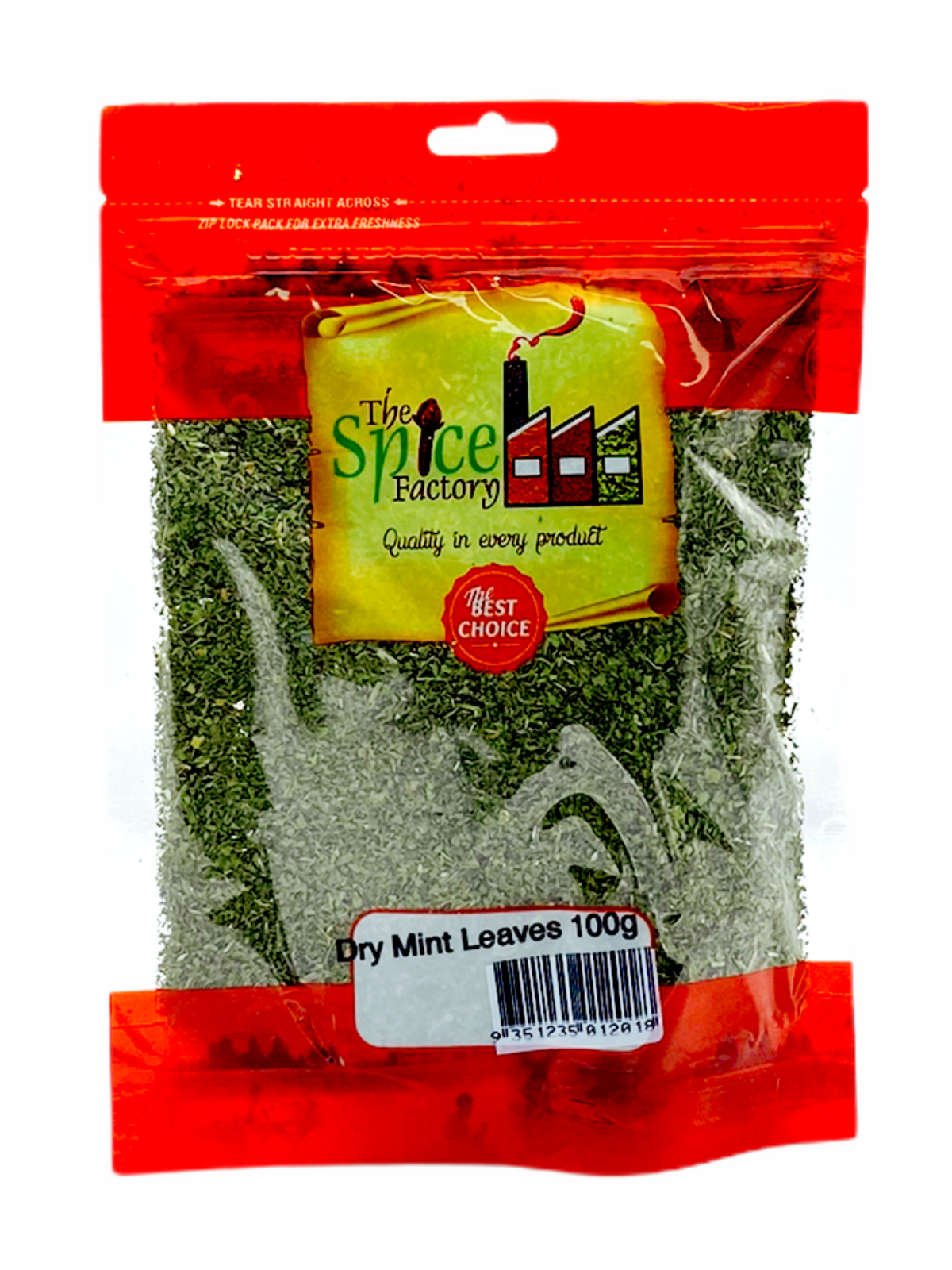 TSF Dry Mint Leaves 100Gm