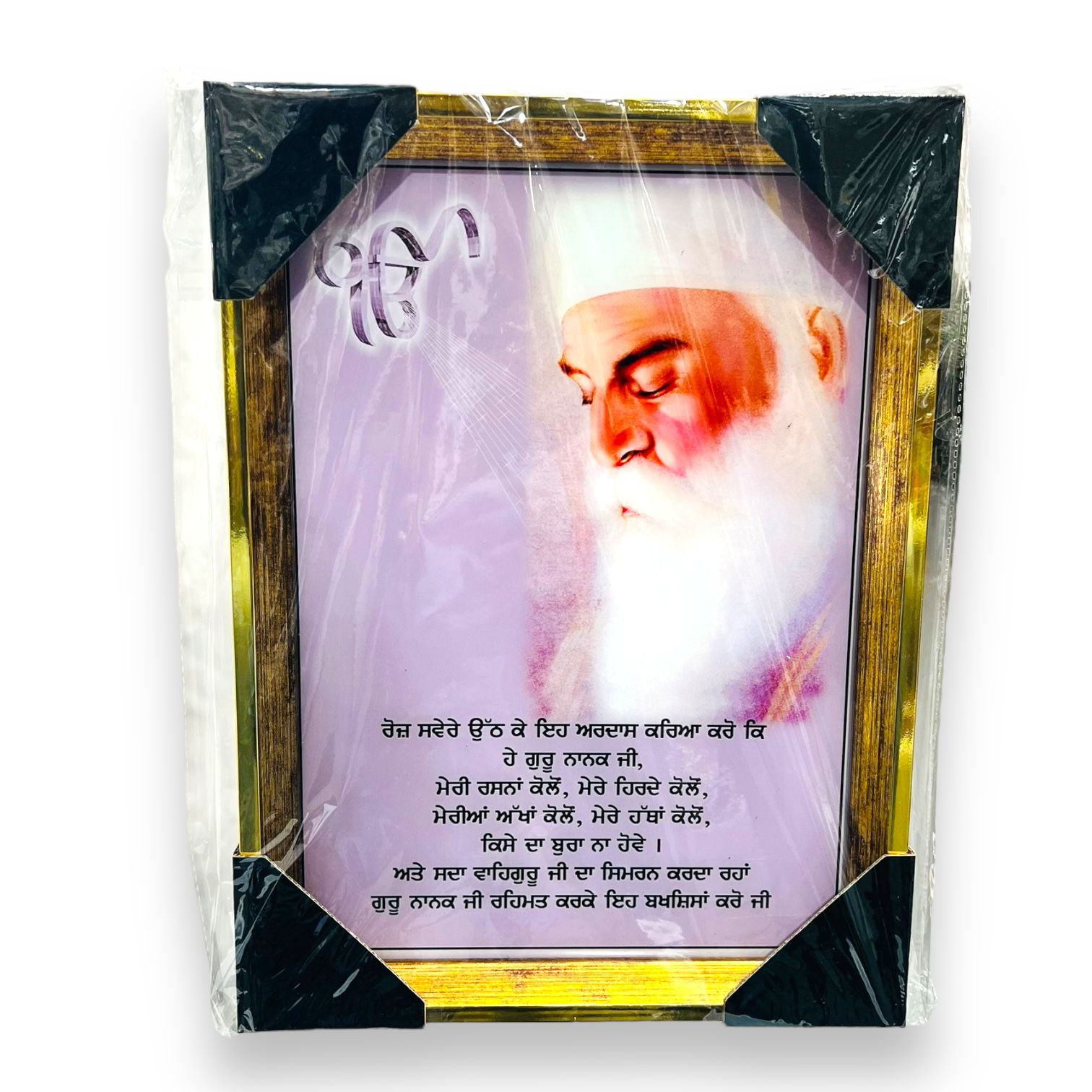 Guru Nanak Dev Ji Photo Frame 209#25.4*34.29Cm (")
