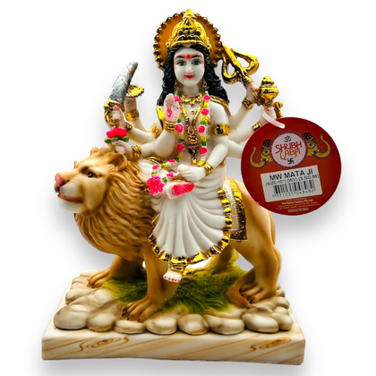 Delhi 6 Linseed Whole (Alsi) 500gm