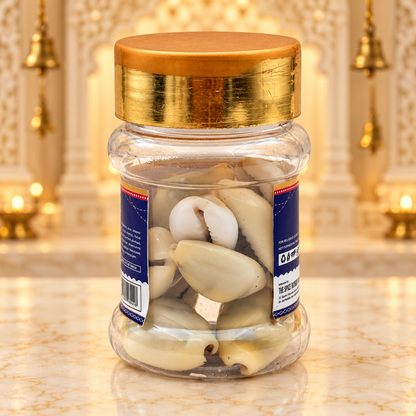 Kaudi Shells (Cowrie Shells) – Pack of 11 | Kawdi / Kauri | Auspicious Pooja Items for Goddess Lakshmi Worship, Wealth & Prosperity Rituals | 9351235060248