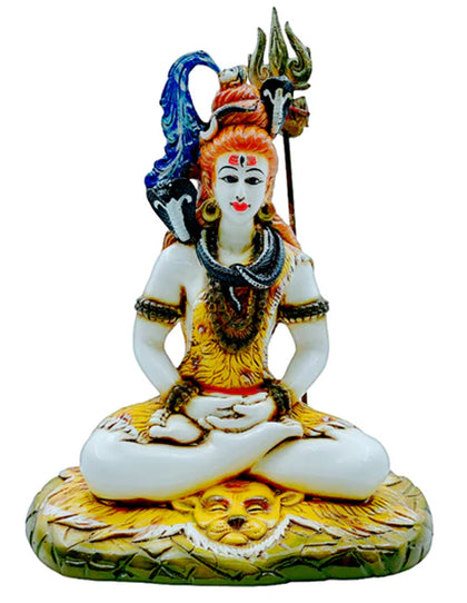 Samadhi Shankar/ Shiv Medium (9