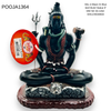 Shiv Ji Black Or Blue Idol/ Murti/ Statue 9'' MW NO 35-1264- 9351235048604