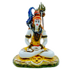 Samadhi Shankar/ Shiv Medium (9